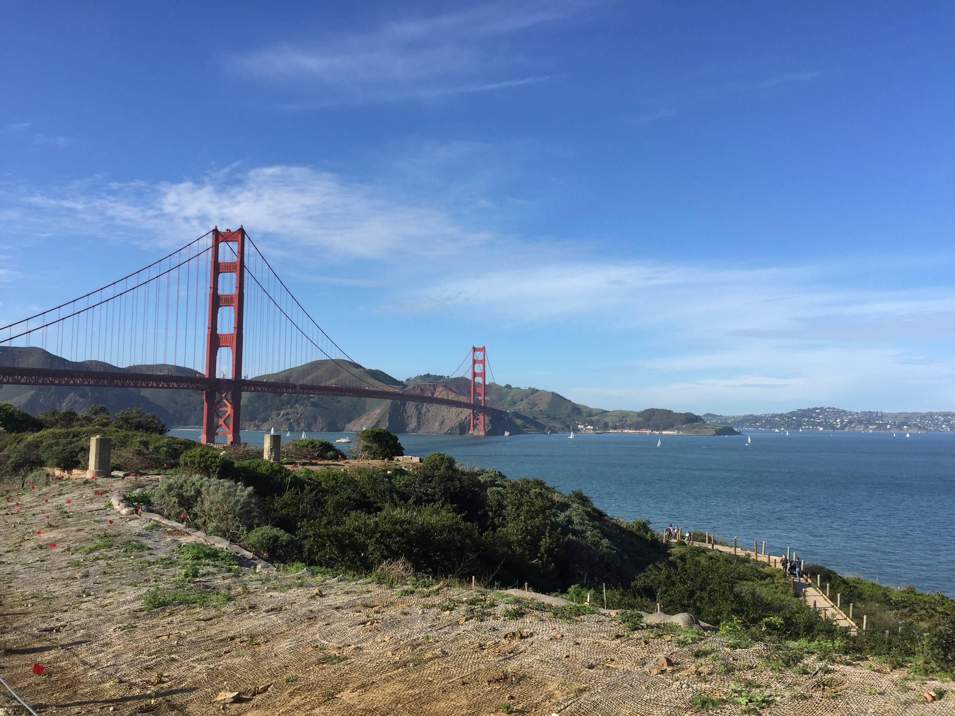 san francisco cycling