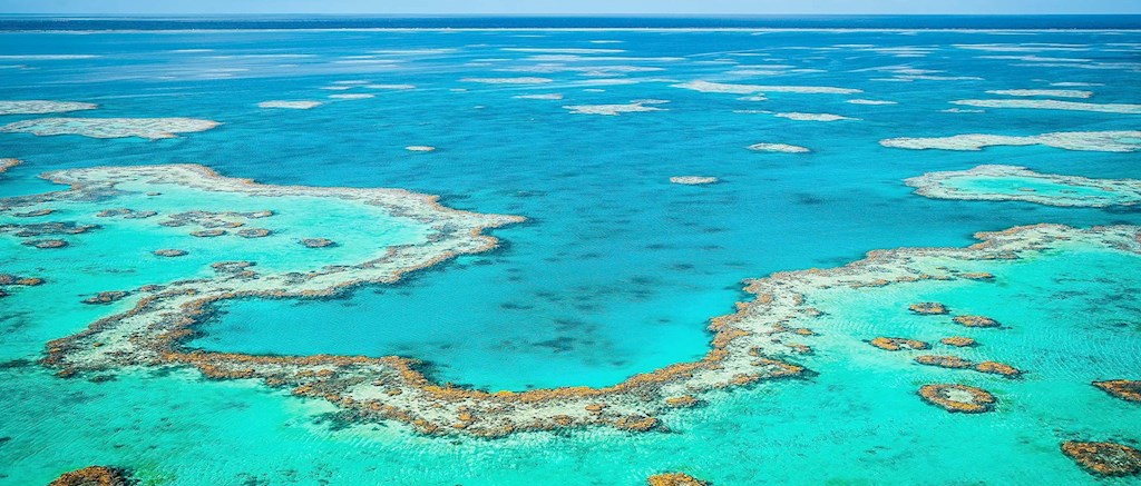 great barrier reef